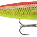 Fire Shad