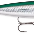 Green Mullet