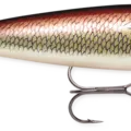 Redfish