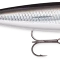 Silver Mullet