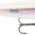 Holographic Bone