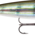 Pinfish