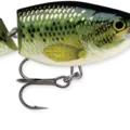 Baby Bass