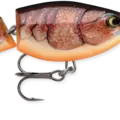Brown Crawdad
