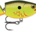 Bleeding Hot Olive