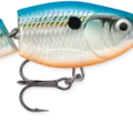 Blue Shad