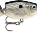 Silver Shad