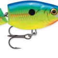 Parrot