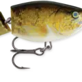 Walleye