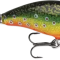 Brook Trout