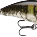 Crawdad