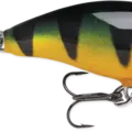 Perch