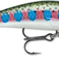 Rainbow Trout
