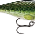 Baby Bass