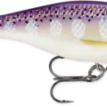 Purpledescent
