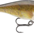 Walleye