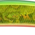 Green Gold RB
