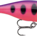 Fruit Punch