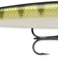 Yellow Perch