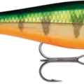 Perch
