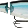 Blue Shad