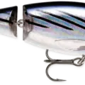Bonito