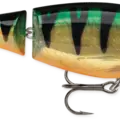 Perch