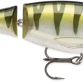 Yellow Perch