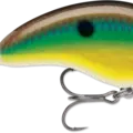 Bream