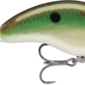 Copper Green Shad