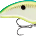 Citrus Shad