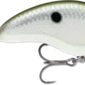 Green Gizzard Shad