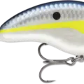 Helsinki Shad