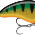 Perch