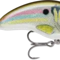 Live River Shad