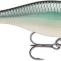 Blue Back Herring