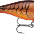 Dark Brown Crawdad