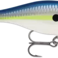 Helsinki Shad