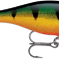 Perch