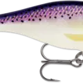 Purpledescent