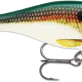 Shad