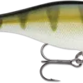 Yellow Perch