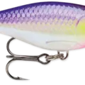 Purpledescent