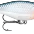 Shad