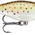 Trout