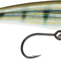 Pinfish