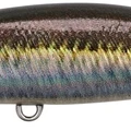 Real Sand Lance