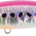 Tropical Sardine Glow