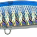 Clear Blue Back