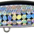 Black Back GB